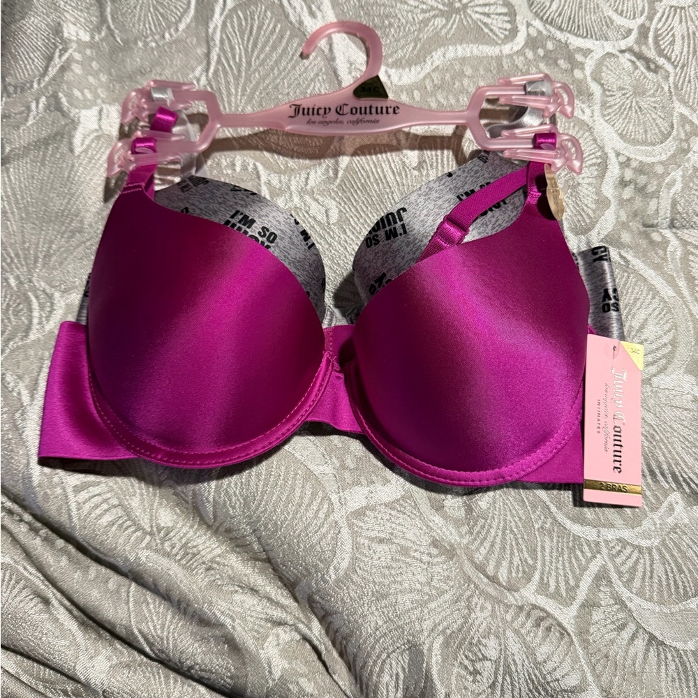 Juicy Couture Fuchsia and Gray Bra